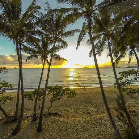 Marlin Waters Beachfront Apartments Palm Cove Eksteriør bilde
