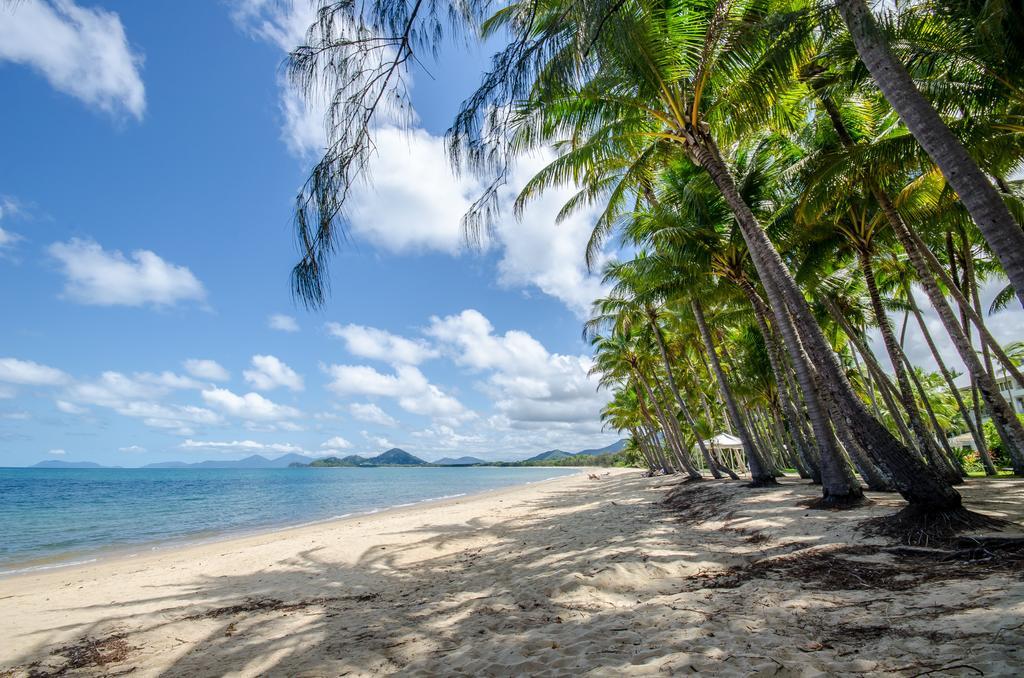 Marlin Waters Beachfront Apartments Palm Cove Eksteriør bilde
