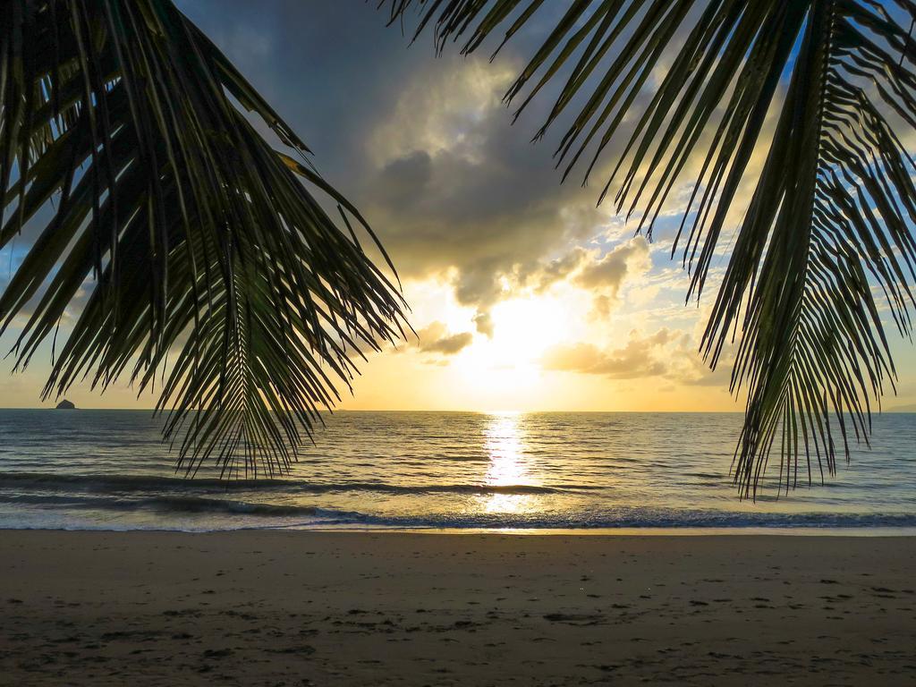Marlin Waters Beachfront Apartments Palm Cove Rom bilde