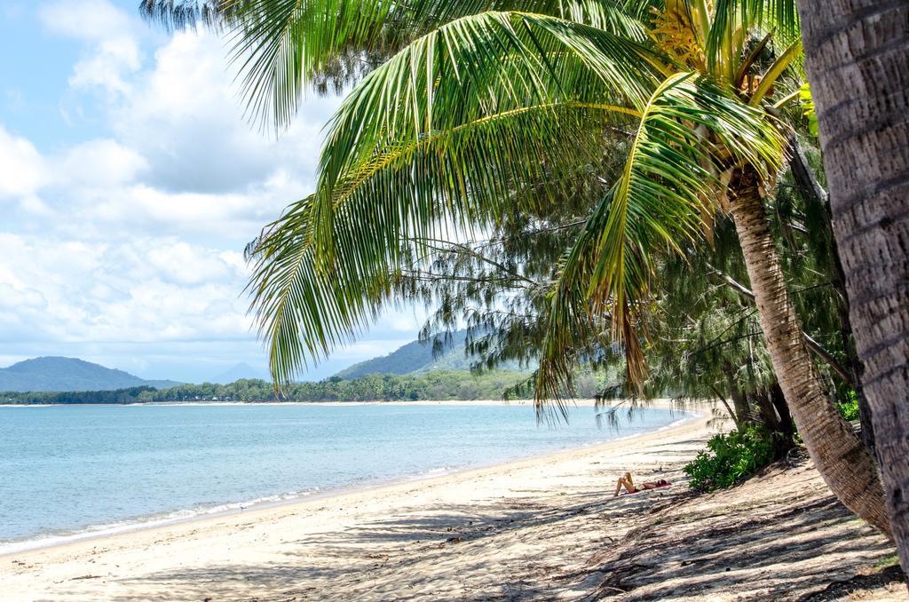 Marlin Waters Beachfront Apartments Palm Cove Rom bilde