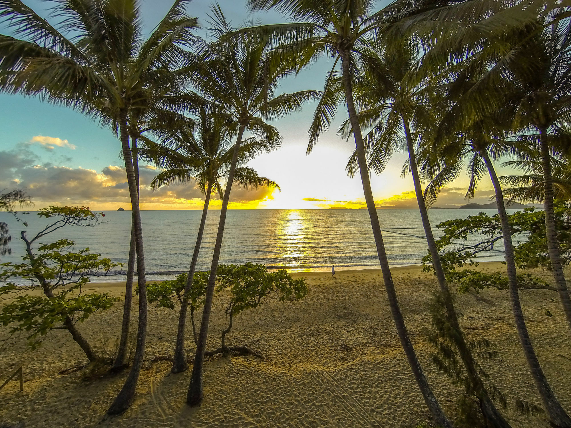 Marlin Waters Beachfront Apartments Palm Cove Eksteriør bilde