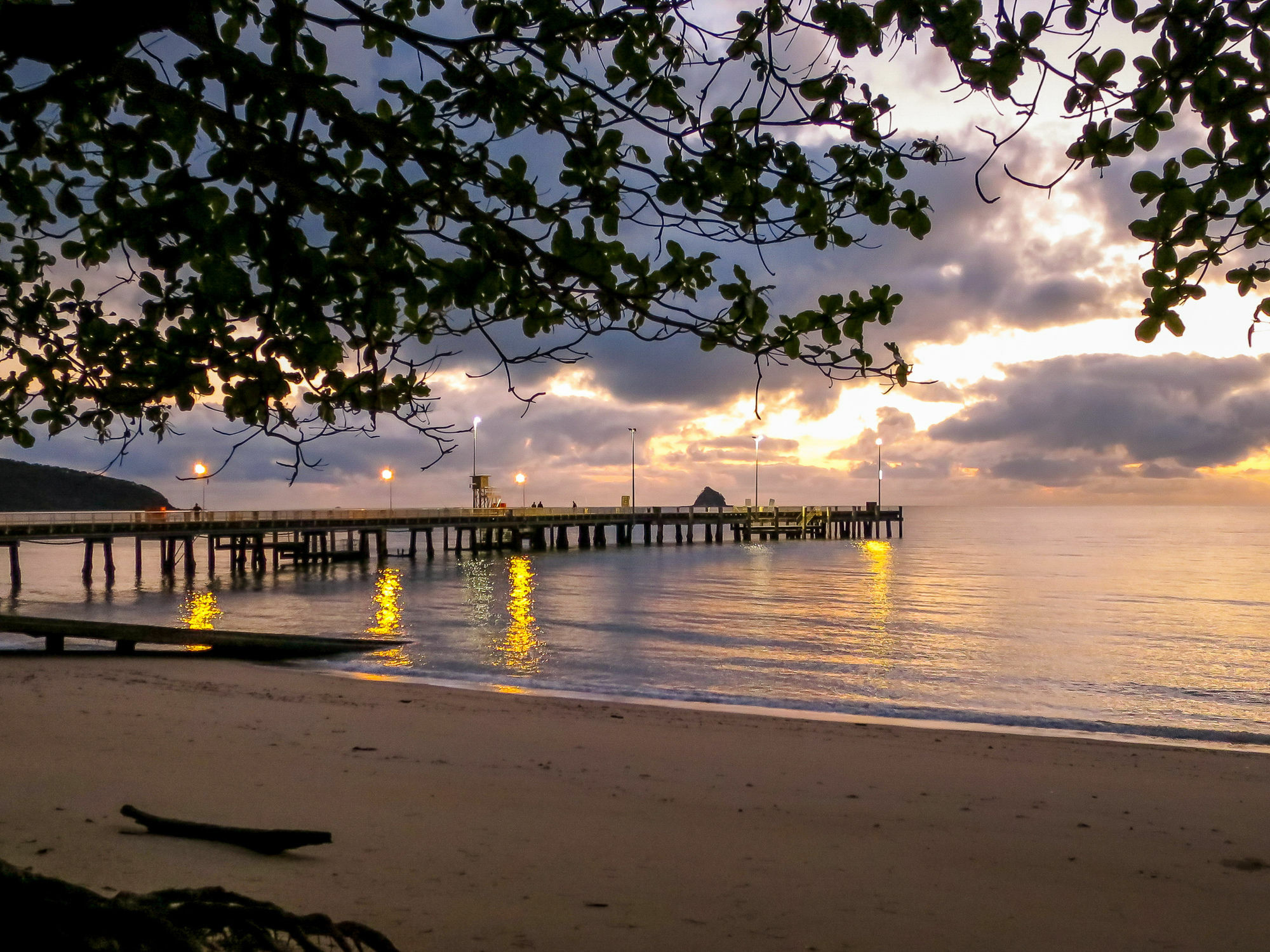 Marlin Waters Beachfront Apartments Palm Cove Eksteriør bilde