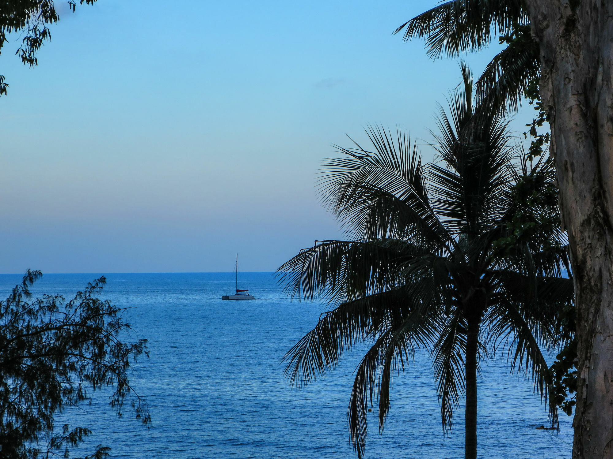 Marlin Waters Beachfront Apartments Palm Cove Eksteriør bilde