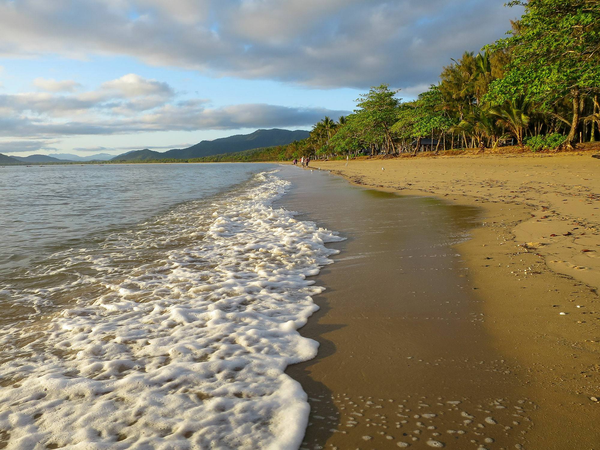 Marlin Waters Beachfront Apartments Palm Cove Eksteriør bilde