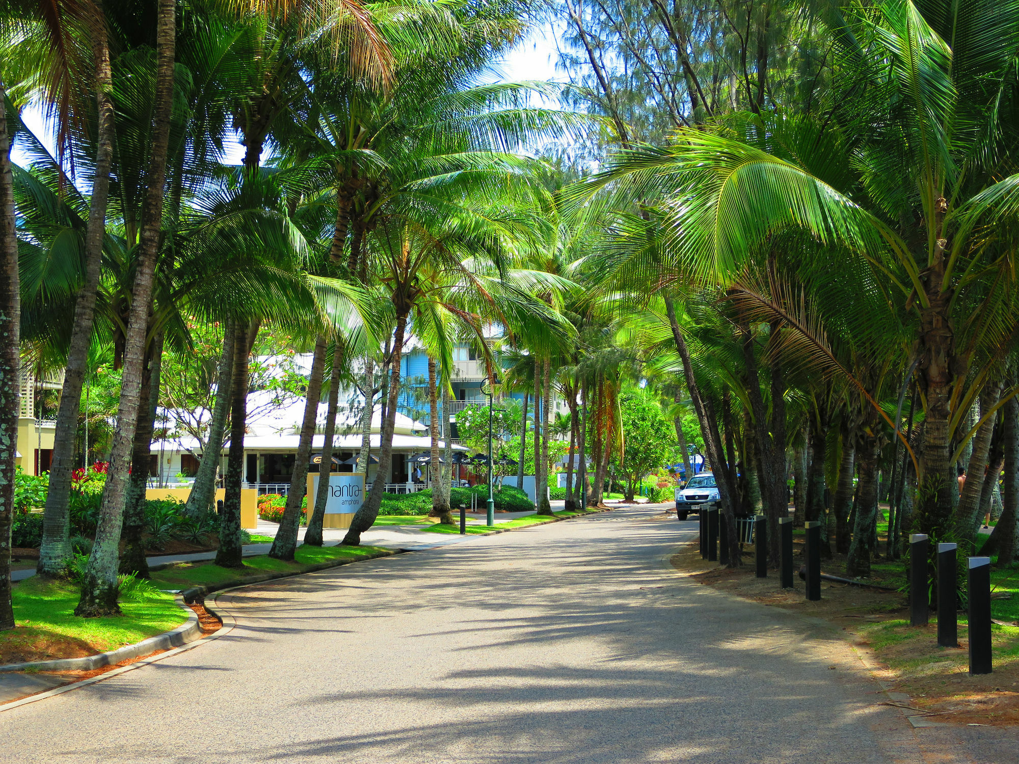 Marlin Waters Beachfront Apartments Palm Cove Eksteriør bilde