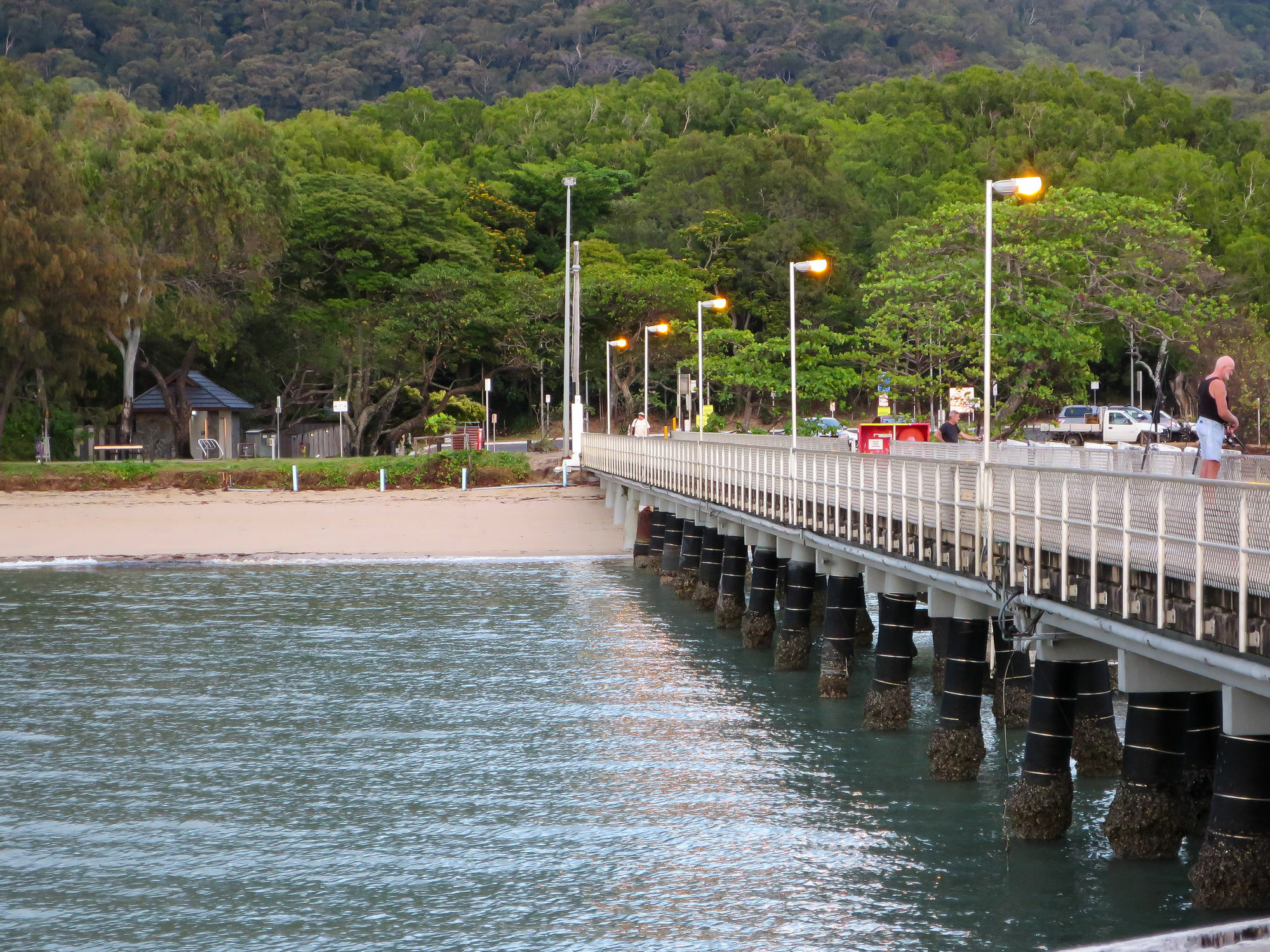 Marlin Waters Beachfront Apartments Palm Cove Eksteriør bilde